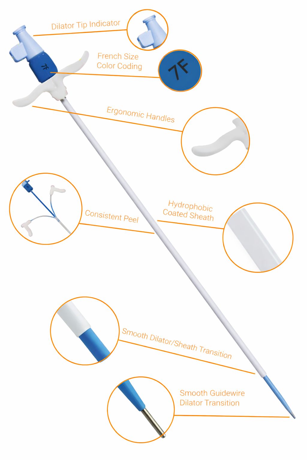 Endovascular Solutions